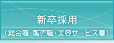 �V���ҍ̗p�i�����E�E�̔��E�j