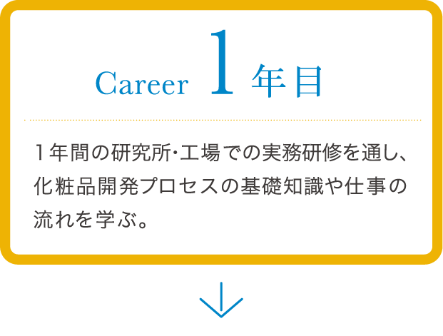 career 1年目 1年間の研究所・工場での実務研修を通じ、化粧品開発のプロセスの基礎知識や仕事の流れを学ぶ。