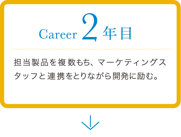 career 2年目 担当製品を複数もち、マーケティングスタッフと連携を取りながら開発に励む。