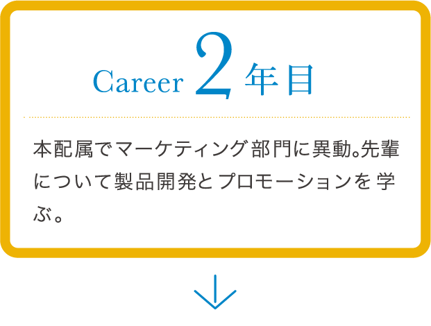 career 2年目 本配属でマーケティング部門に異動。先輩について製品開発とプロモーションを学ぶ。